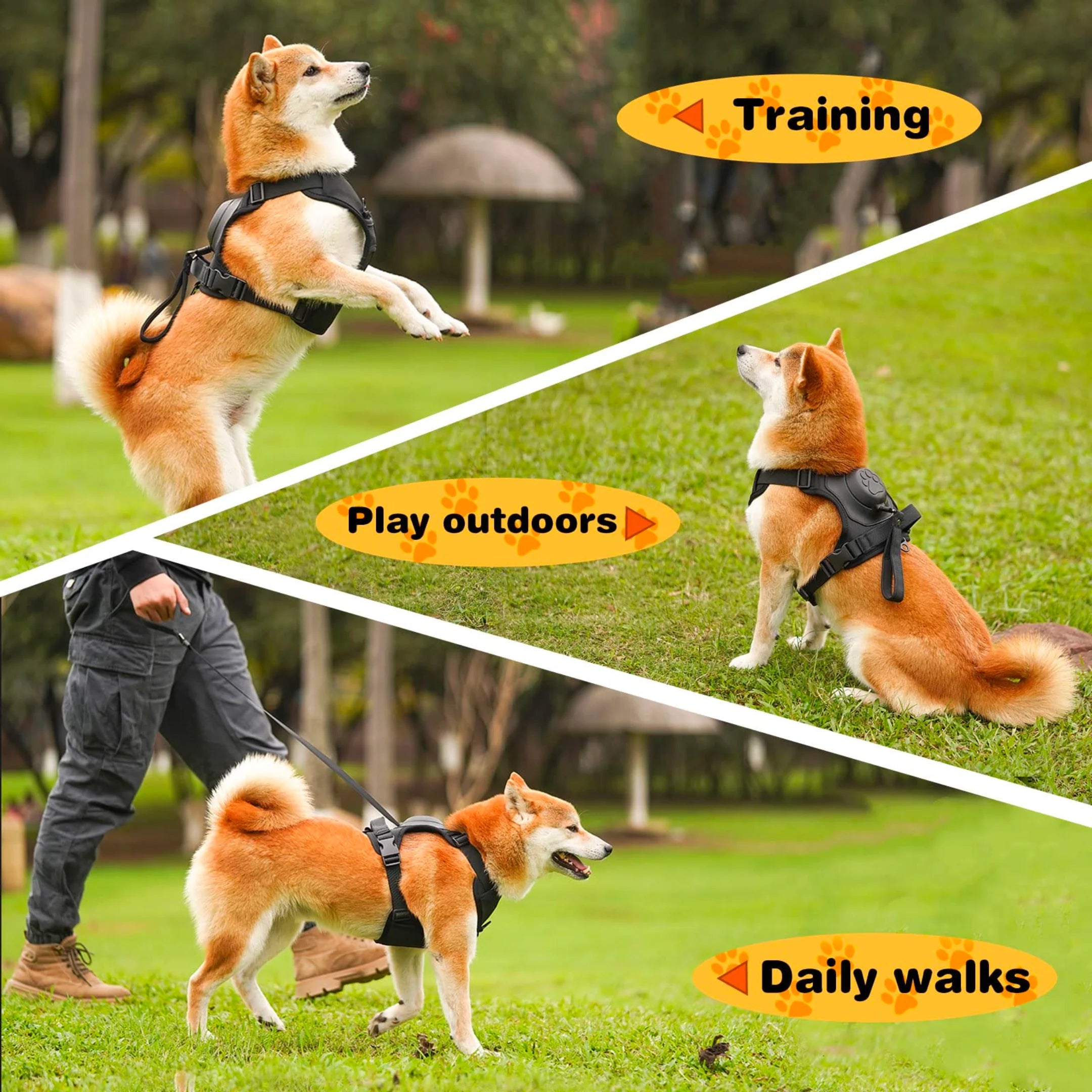 3 in 1 Dog Harness with Built-In Leash